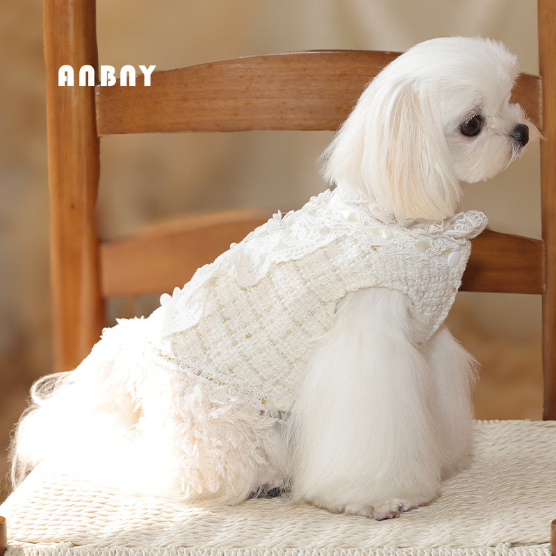 Autumn and Winter Princess Wind Warm Pet Clothes Dog Bear Teddy Small and Medium Dog Xiaoxiangfeng Skirt